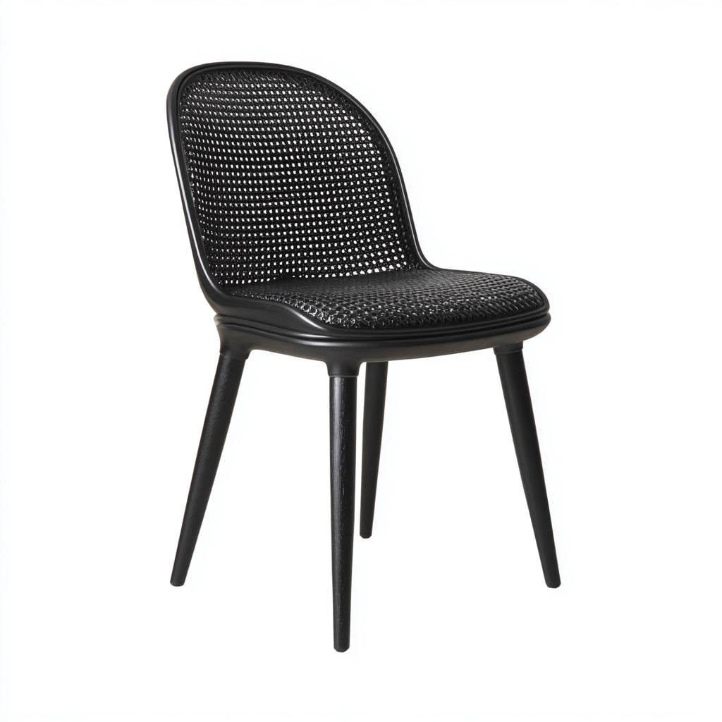 Sillas de jardín de ratán y metal 48x55x82 cm - Negro - Estilo moderno para exterior